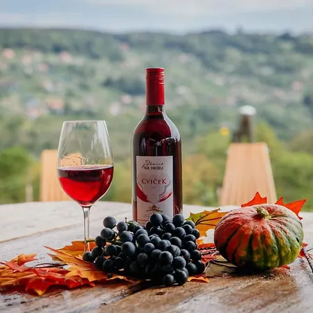 In Kranjska Krain 42901 * Двор