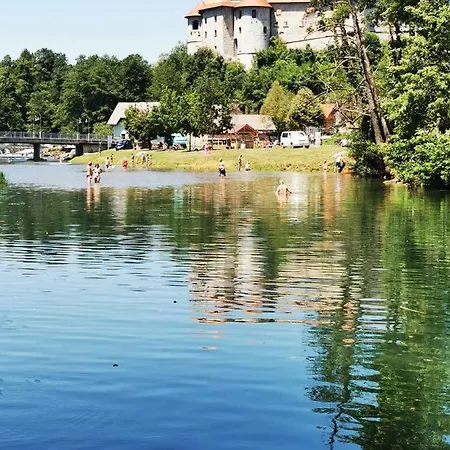 In Kranjska Krain 42901 بيت للعطل Dvor