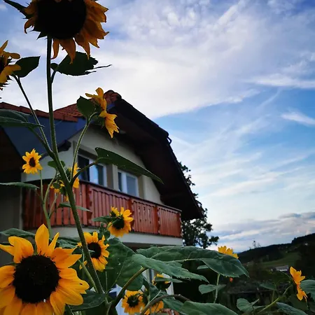 Vakantiehuis In Kranjska Krain 42901 *