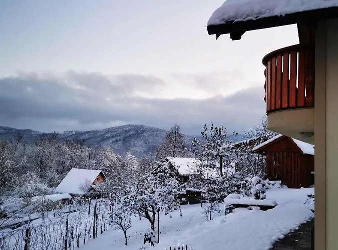 In Kranjska Krain 42901 Tatil Evi *