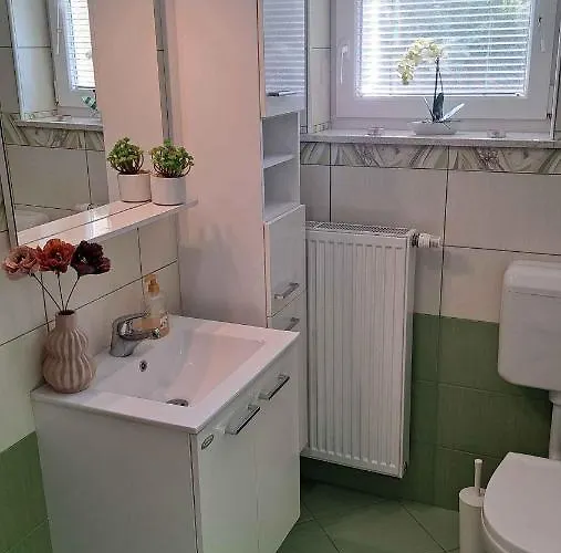 In Kranjska Krain 42901 Tatil Evi Dvor